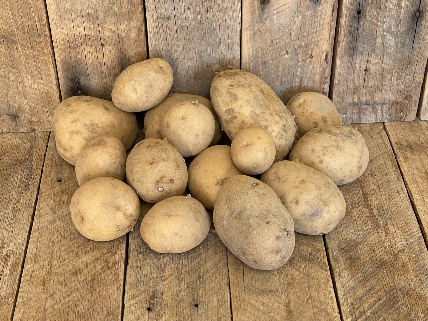 5 lb. Lehigh Potatoes