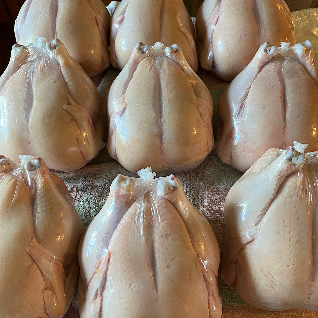 Whole Chicken (Small) < 4 lbs.
