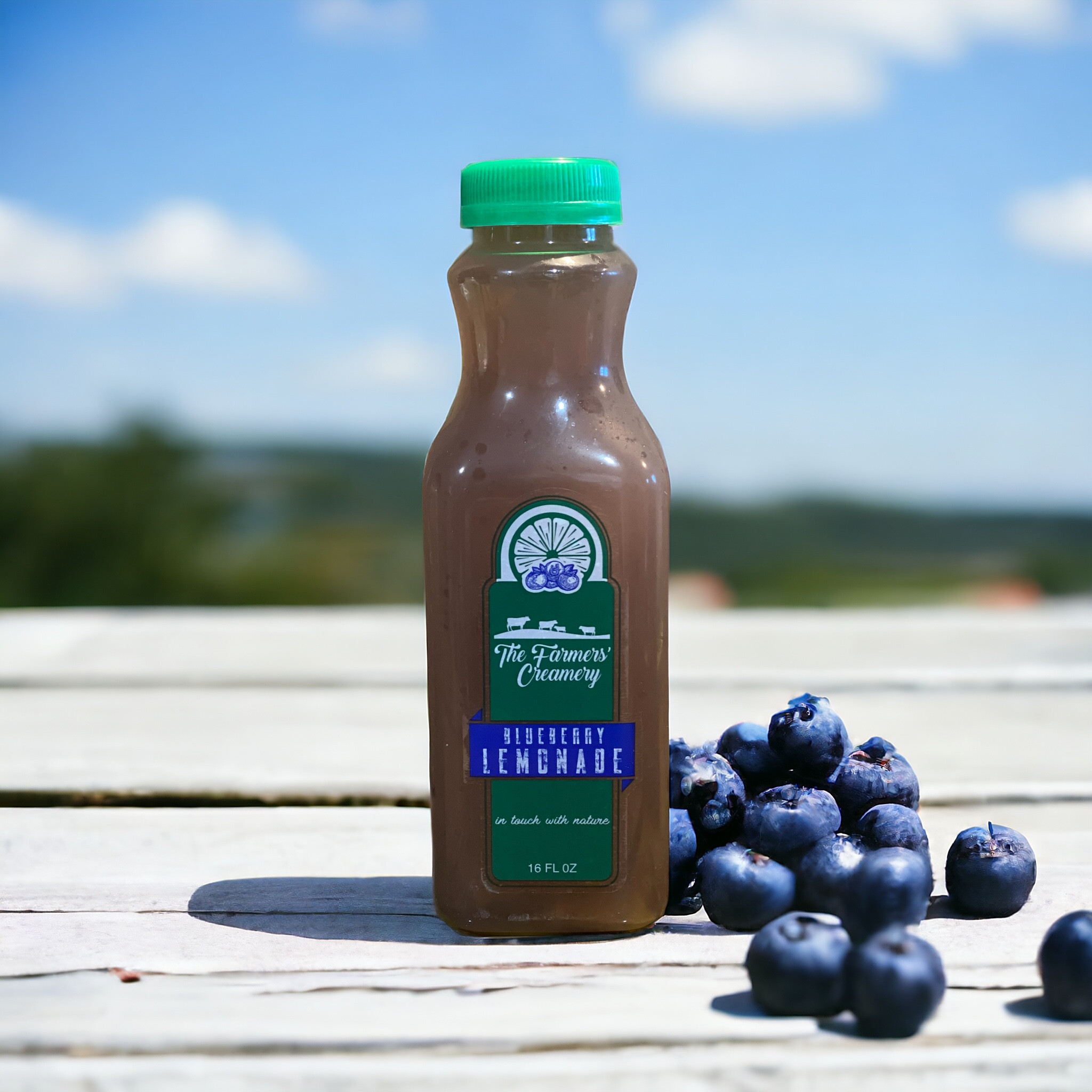 Blueberry Lemonade 16 oz case plastic