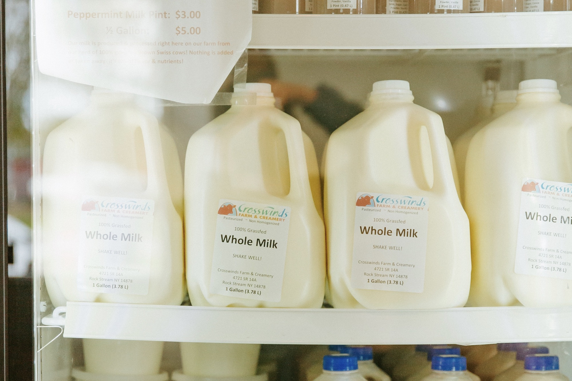 Whole Milk - Half Gallon