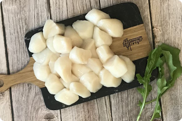 Sea Scallops Frozen - Wild Caught