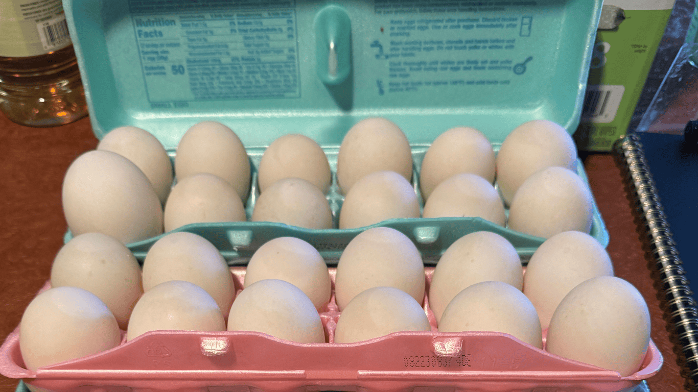 Blended Dozen eggs