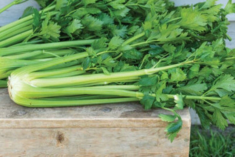Organic Celery Bunch