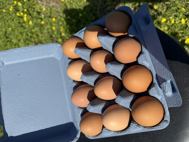 1 doz.  Pastured Brown Chicken Eggs