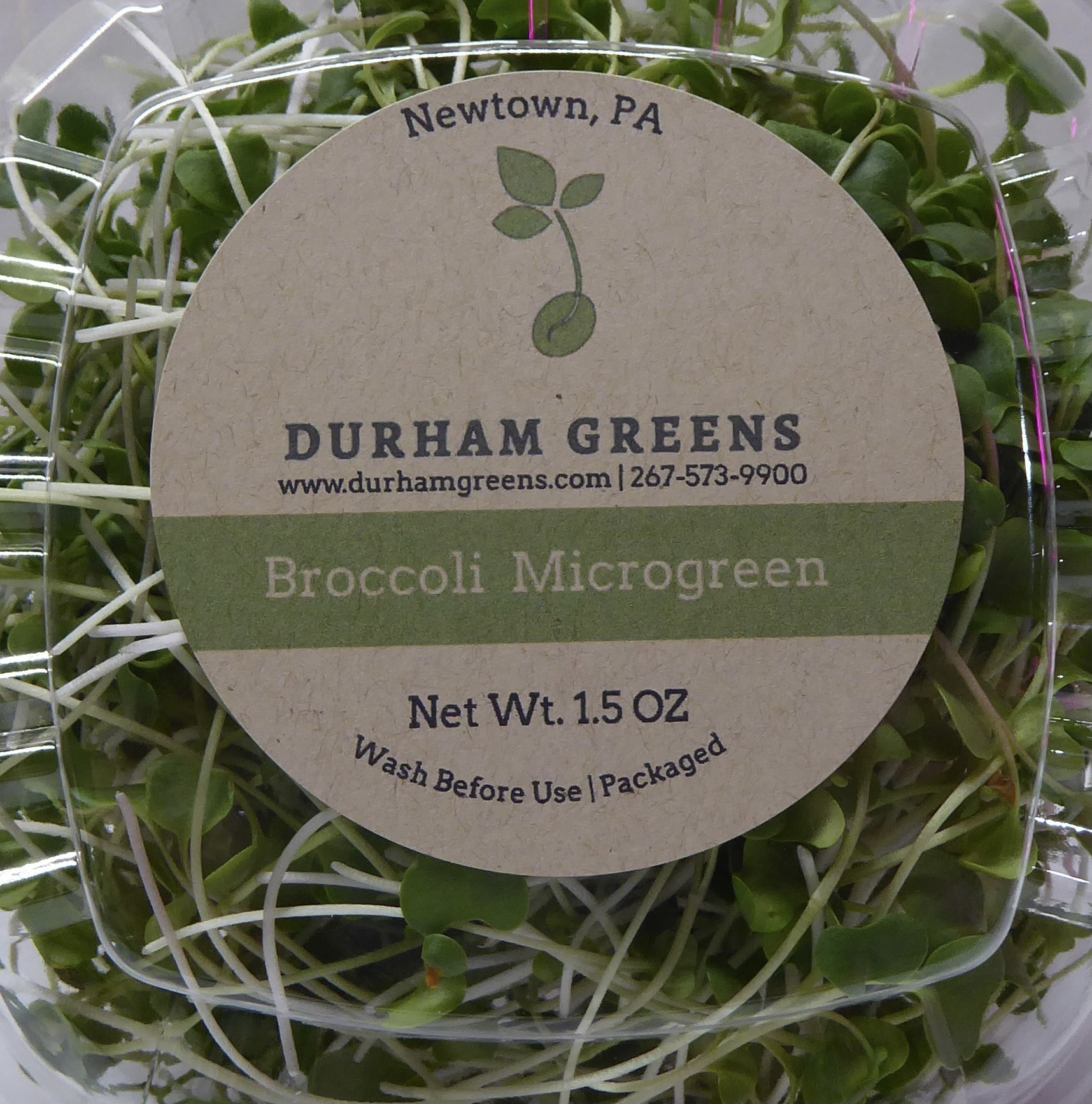 Durham Greens Broccoli Microgreens