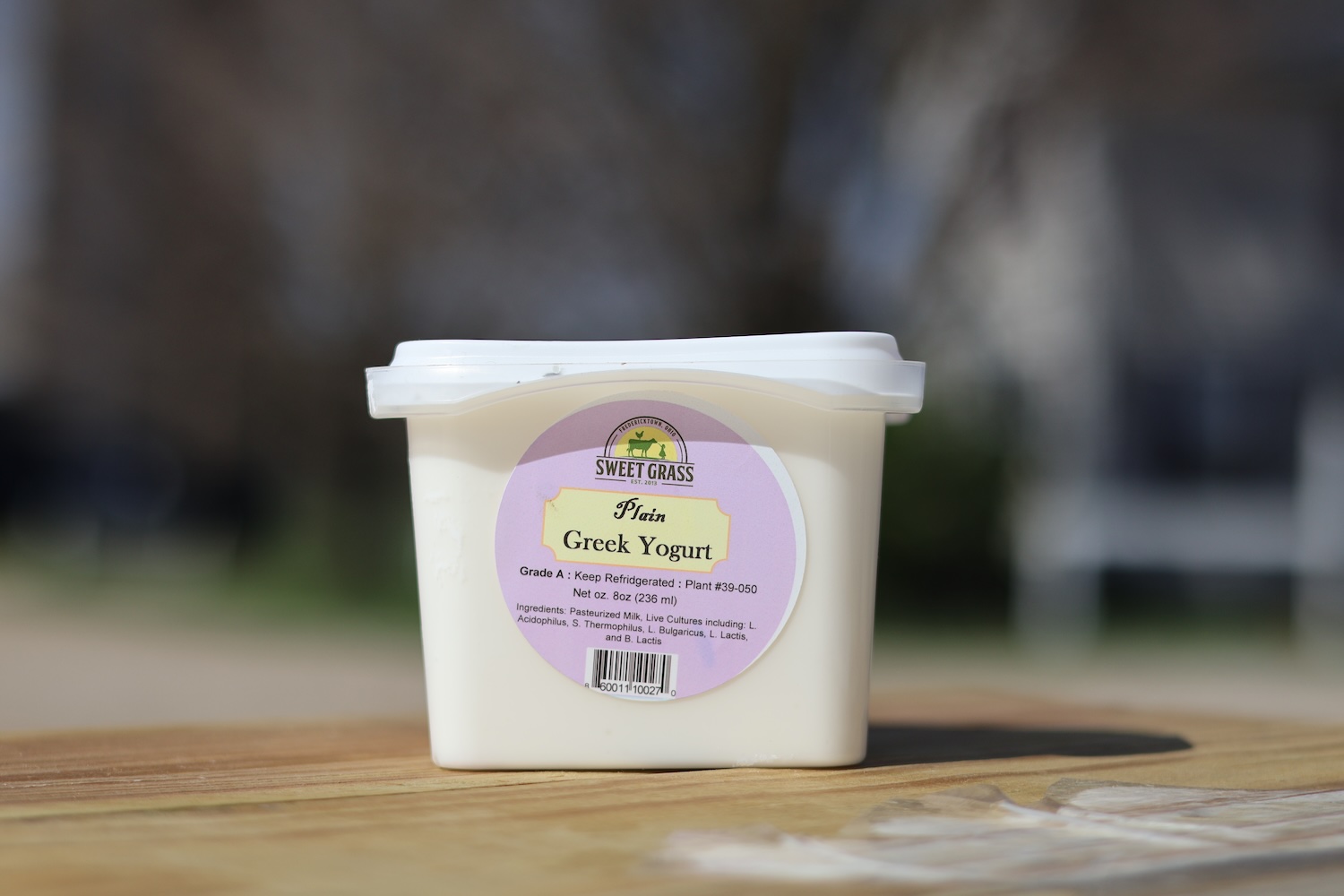 Yogurt, Plain Greek Bundle of 5 (Wholesale)