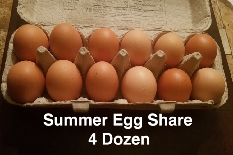 2026 Summer Egg Share 4 Dozen every other week pickup from Michael’s Frozen Custard (Atwood Ave)