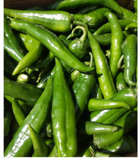 Hot Green Chilies