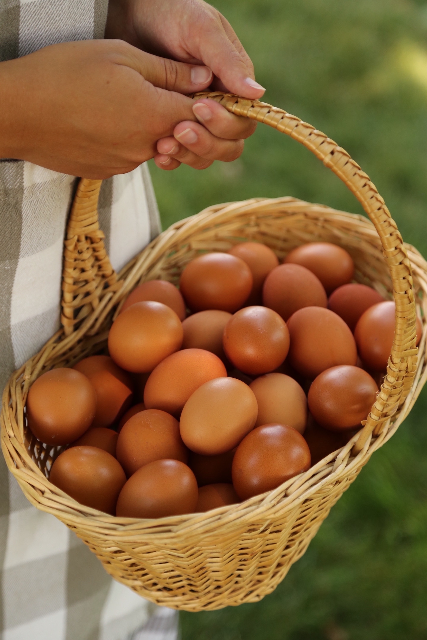 1 Dozen Eggs