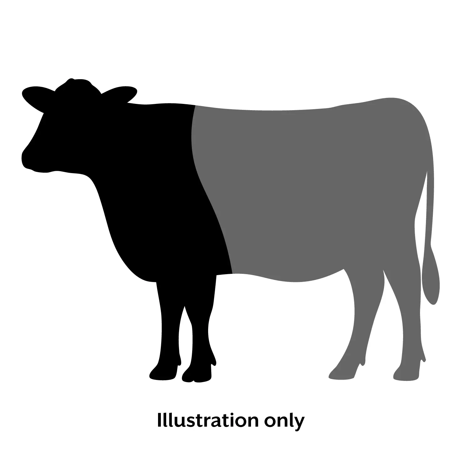 Quarter Beef Deposit
