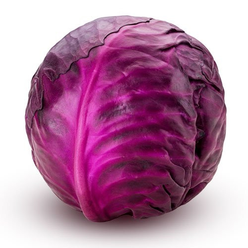 Cabbage, Red