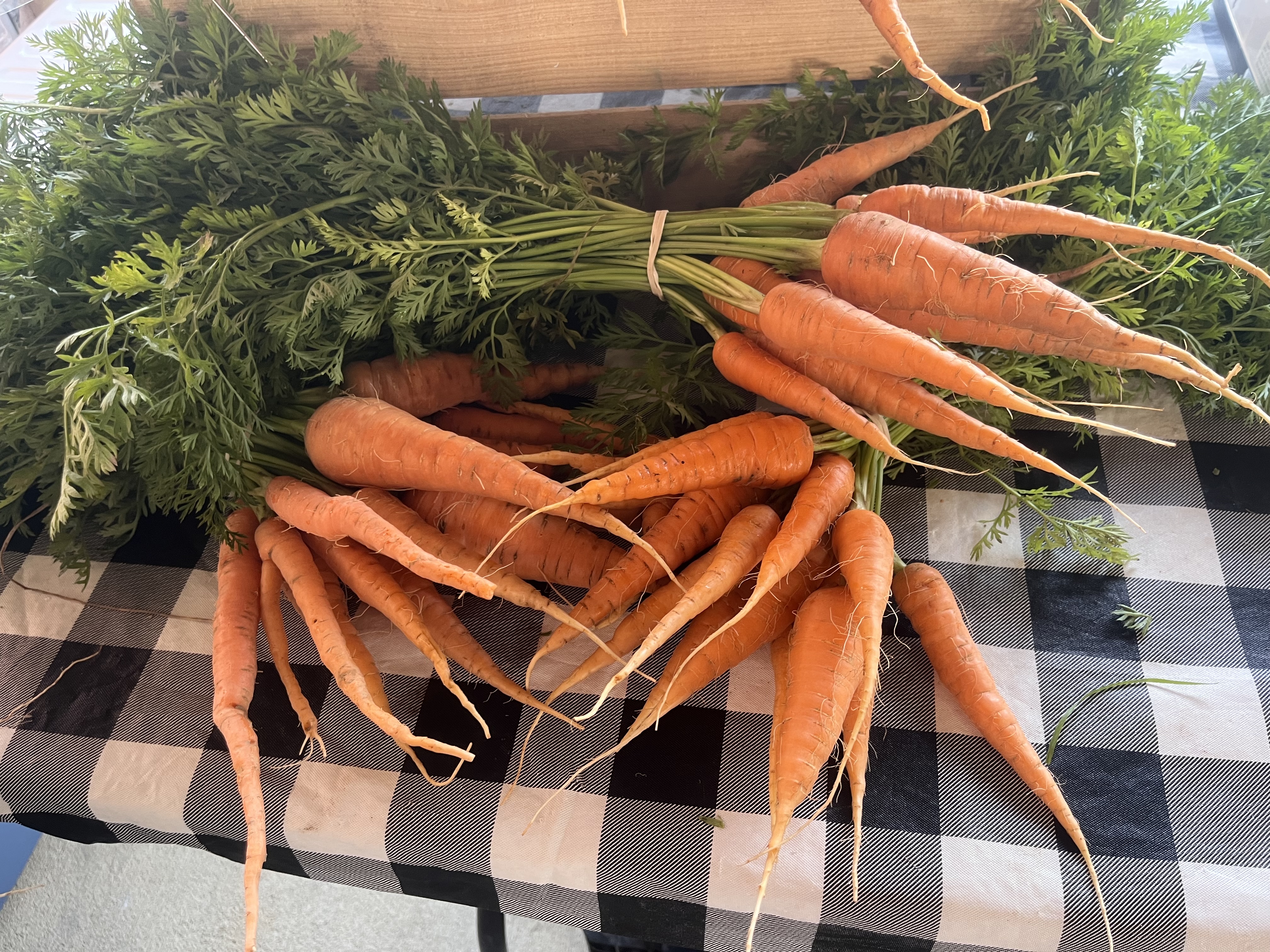 Carrots