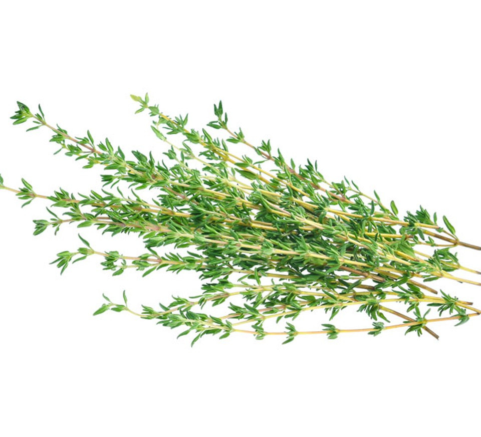 Herbs, Thyme
