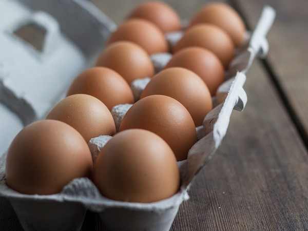 FREE Corn & Soy Free Chicken Eggs