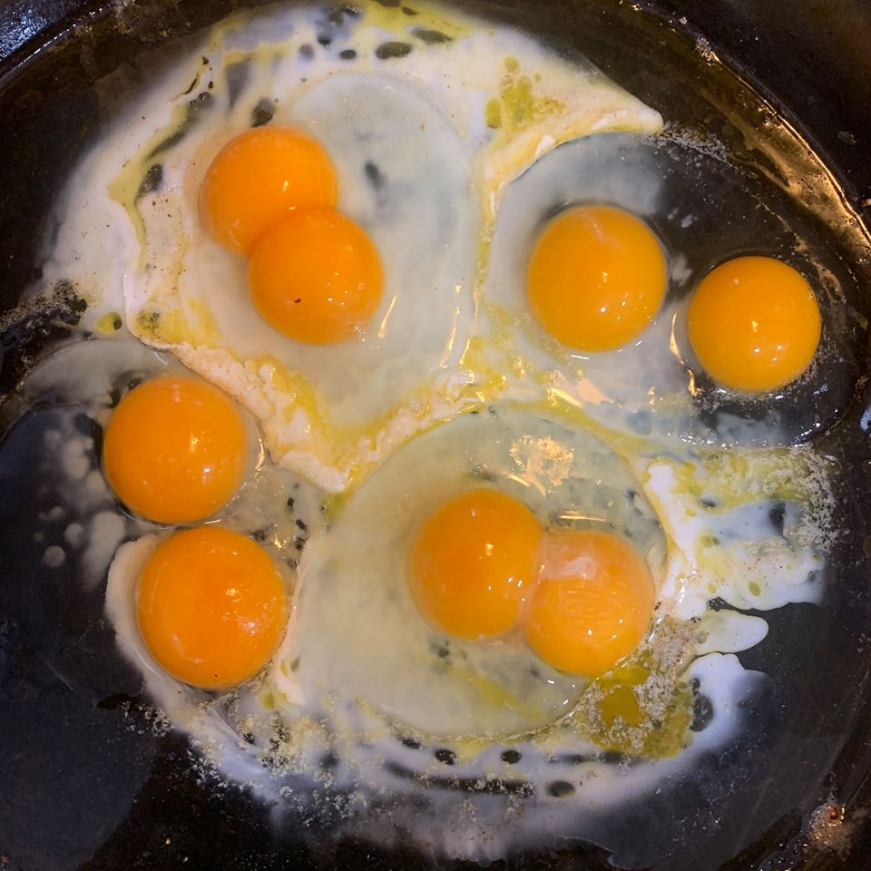 3 Dozen Egg Bundle