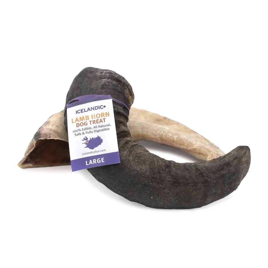 Icelandic+ Large Lamb Horn Dog Treat