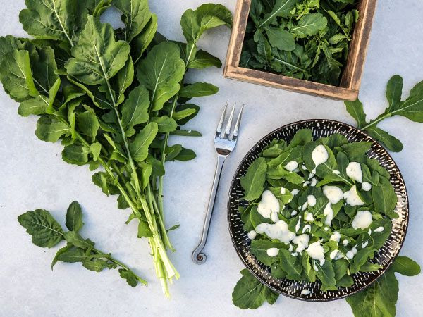 Arugula