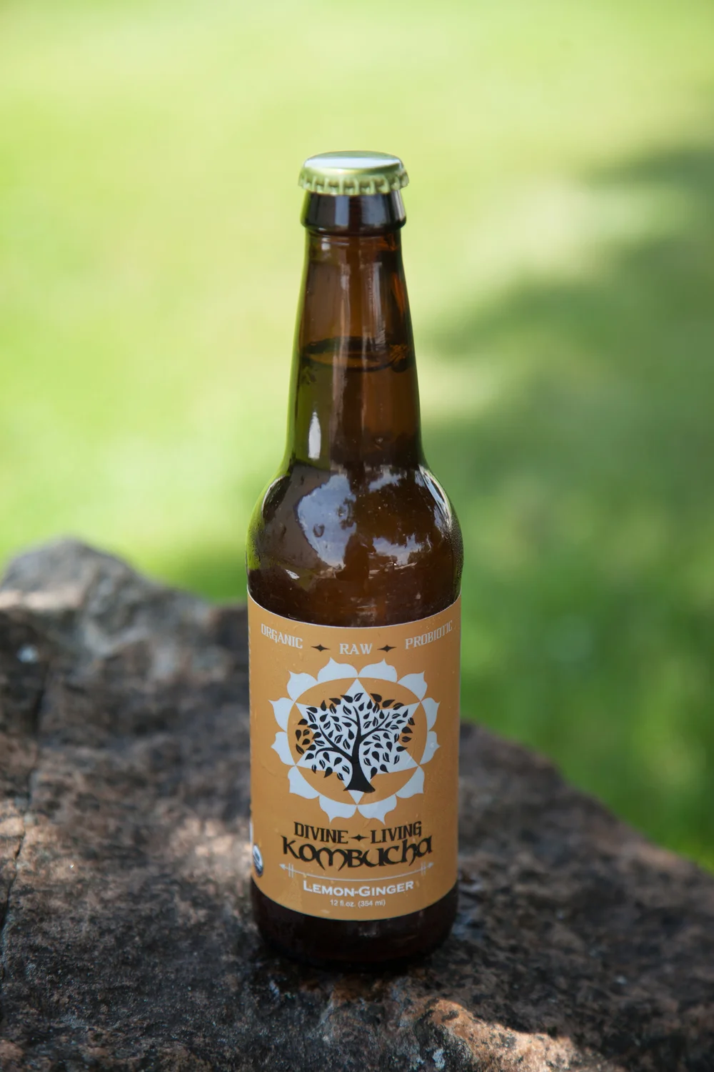 LOCAL Divine Living Kombucha Lemon Ginger