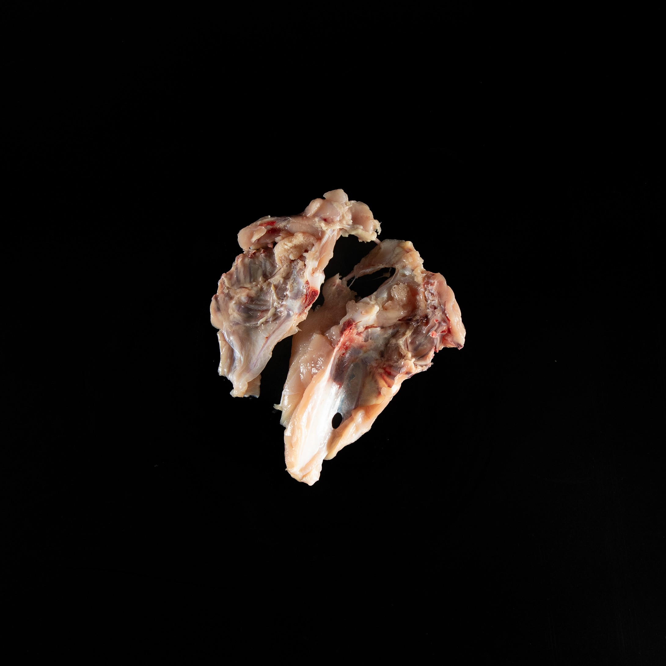 Chicken Breast Bones