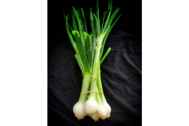 Green Onions