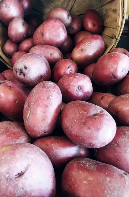 Organic Red Potatoes