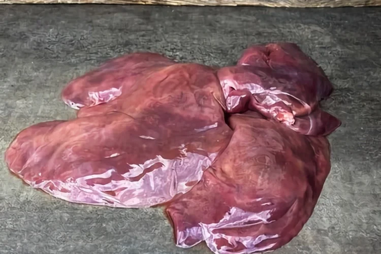 4-4.9lb | Pork Liver