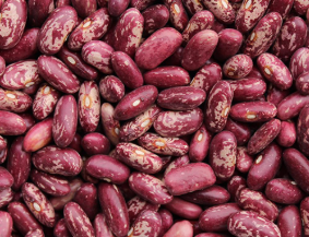 Beans, Cranberry Borlotti dried