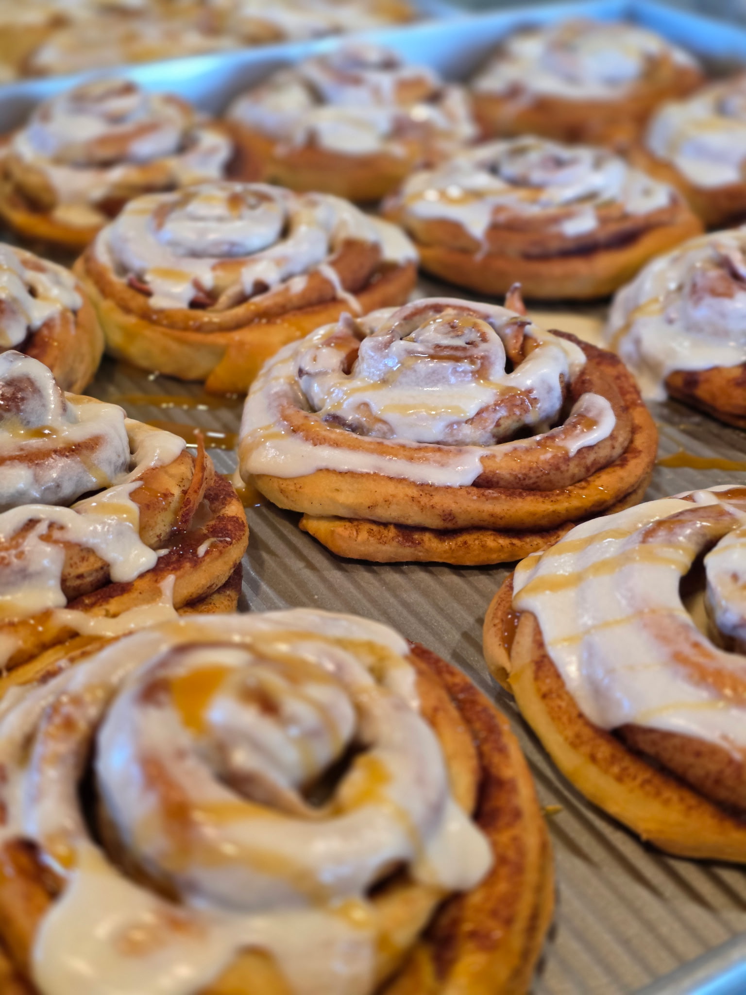 Apple Cinnamon Rolls - Pumpkin shaped!