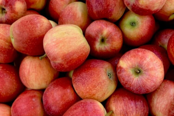 Apples, Enterprise, Half Bushel