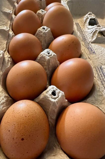 Brown Eggs