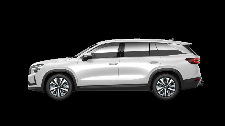 Kodiaq 2.jpeg