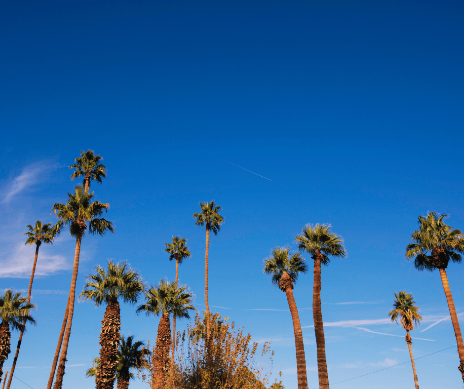 Air conditioning service Green Planet Heating and Air Air conditioning service