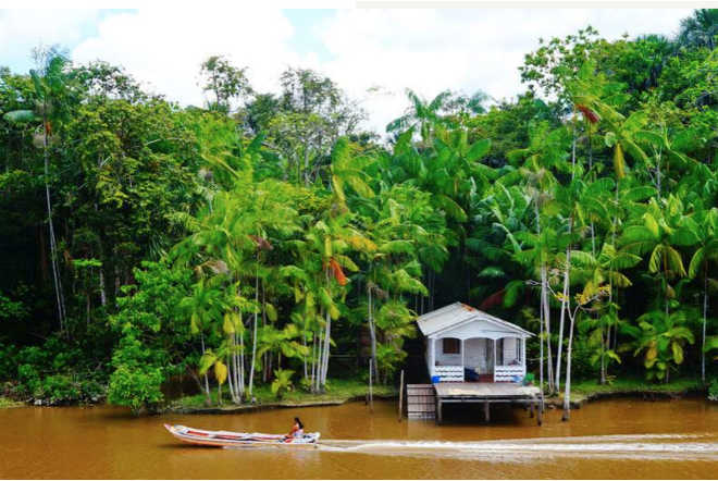 Cikel Amazon Rainforest Protection