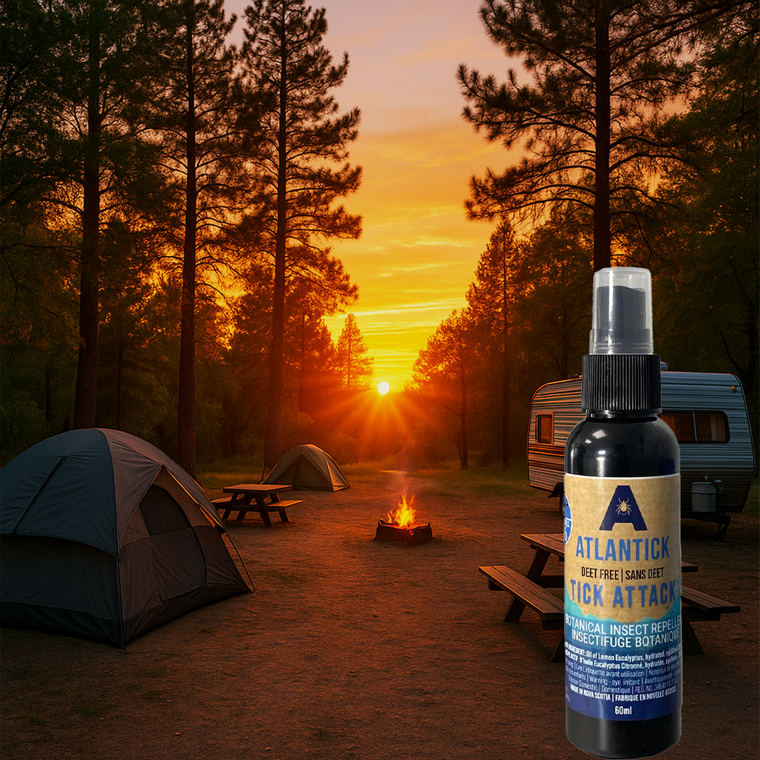 Natural Protection: Why DEET-Free Insect Repellents Are Your Best Choice This Summer