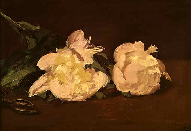 Branch of White Peonies and Pruning Shears (Edouard Manet)