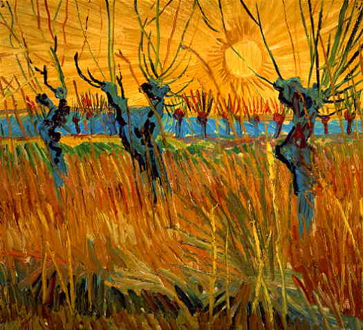 Pollard Willows with Setting Sun (Vincent van Gogh)