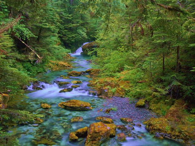 Opal Creek, Oregon
