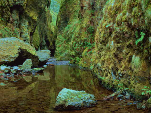 Columbia River Gorge, Oregon