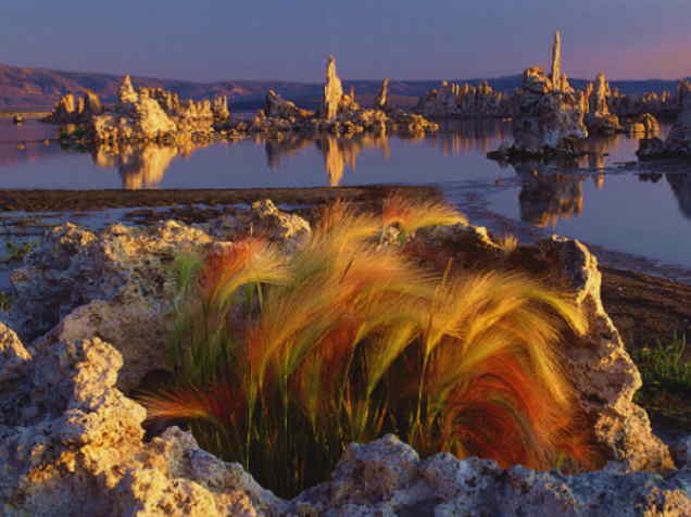 Mono Lake, California