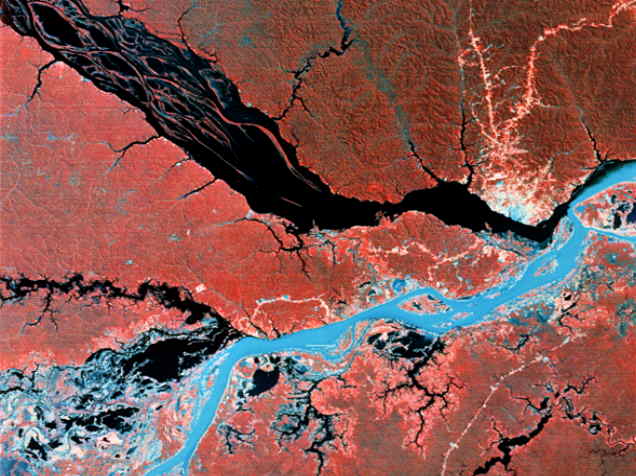 Landsat Photo of the Amazon Basin