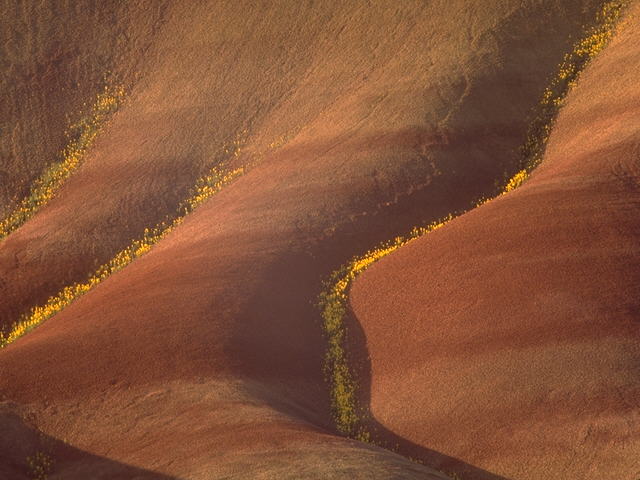 Painted Hills of Oregon