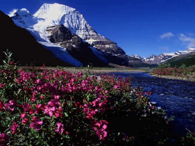 Mt. Robson, British Columbia