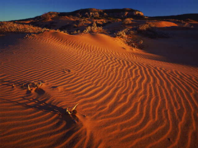 Coral Pink Sand Dunes State Park, Utah