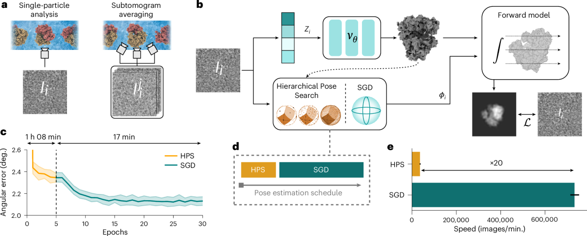 Neural Reprojection and View Synthesis Explained