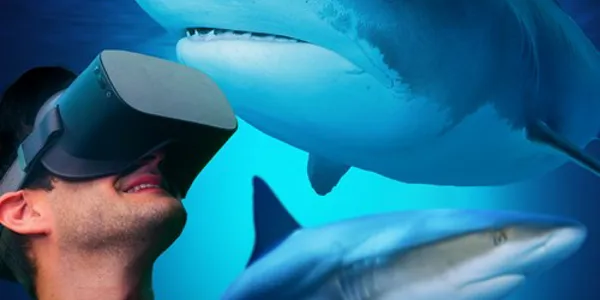 🌊 Underwater Shark Encounter – VR Deep Sea Dive