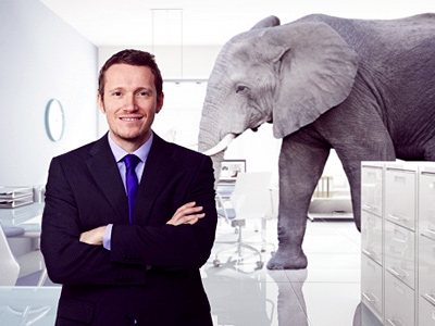Elephant in a businessman's office