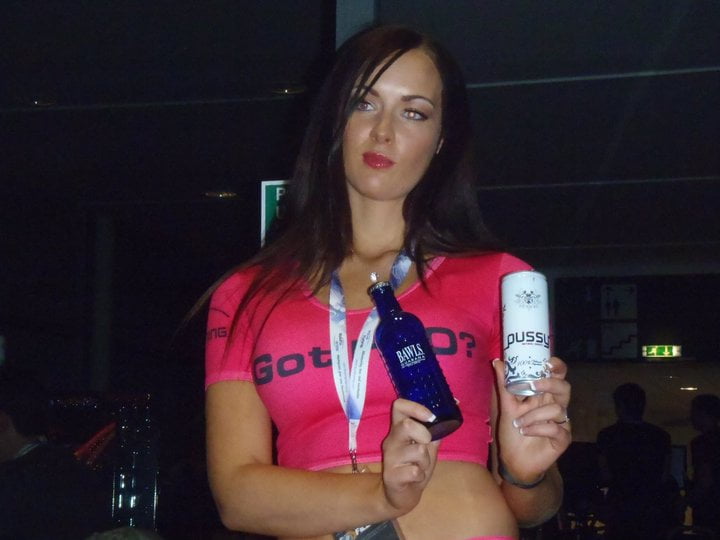 Promotional Model with Aquatuning at Gaming Expo in Newbury on 1214th Nov 2010 01