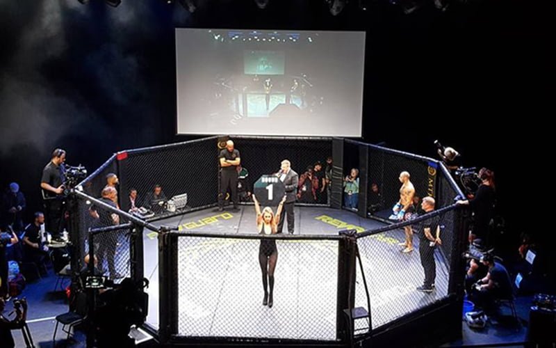 Boxing Ring Girls, Mma Cage Girls And Hostess Hire