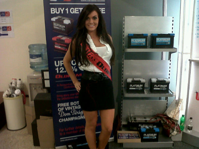 Promotional Models With Platinum Batteries At The Group Auto Show On 12th October 2012