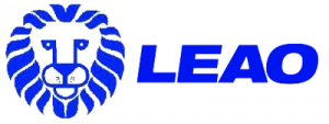 Logo per il brand Leao